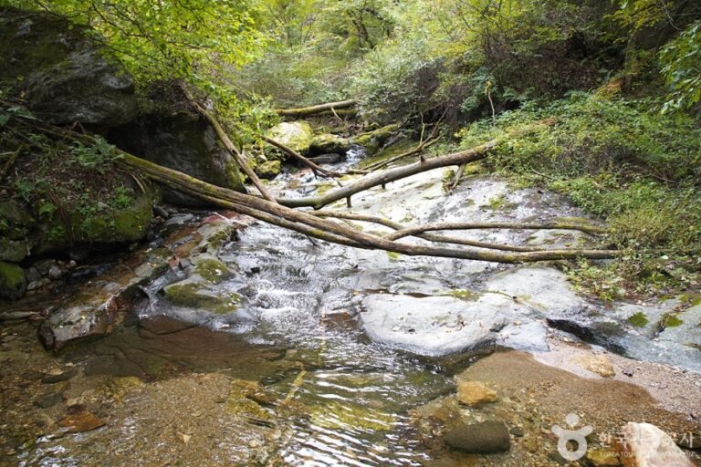 [강원] 관음사·국형사계곡