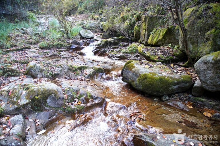 [강원] 천은사계곡(원주)