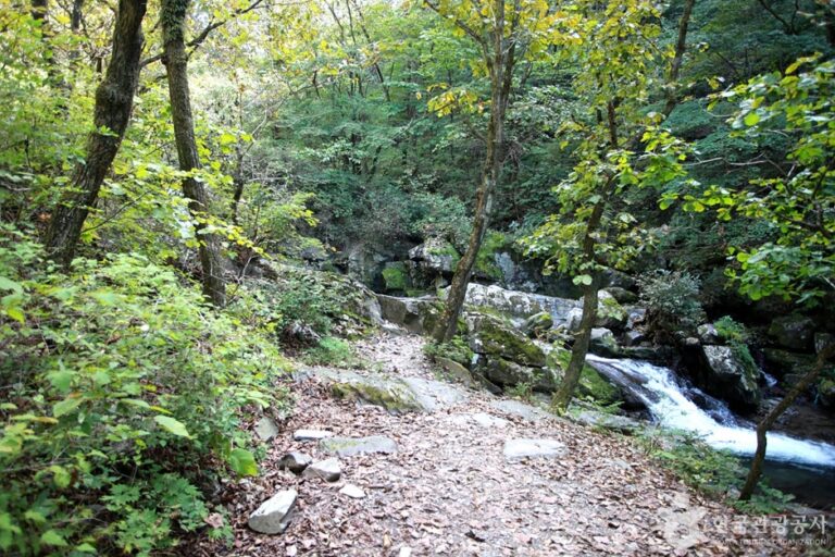 [강원] 용소폭포(연하계곡)