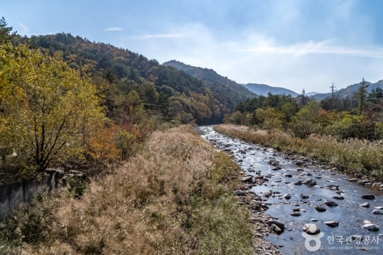 [강원] 부연동마을
