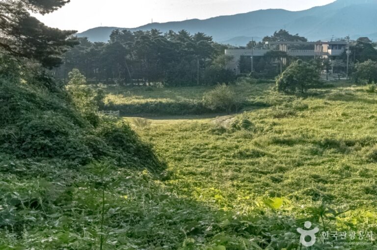 [강원] 강릉 굴산사지