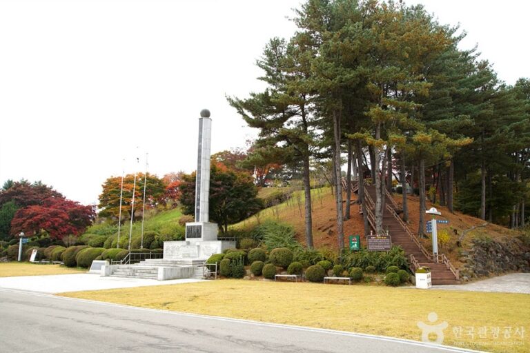 [강원] 홍천 무궁화공원