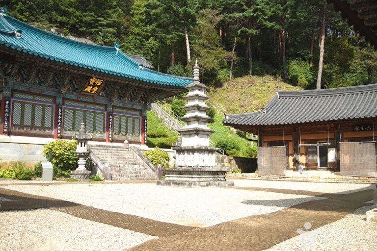 [강원] 천은사(삼척)