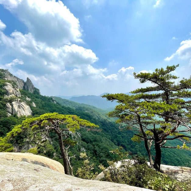 [강원] 용화산 (강원평화지역 국가지질공원)