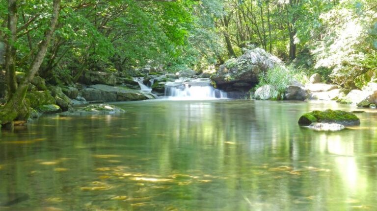 [강원] 만산동계곡