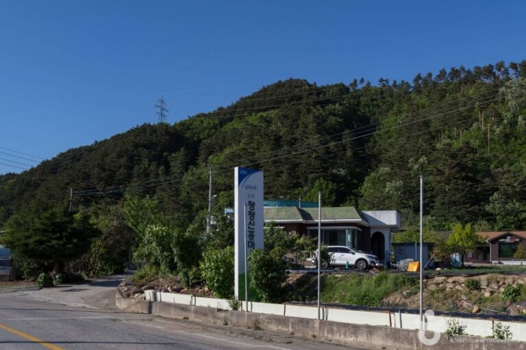 [강원] 청정신흥마을