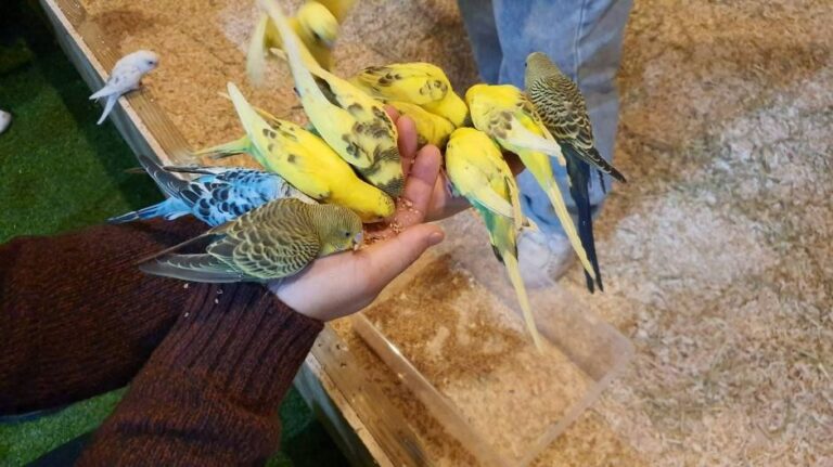 [강원] 플레이정글 춘천엔타점