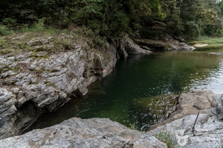 [강원] 공작산생태숲