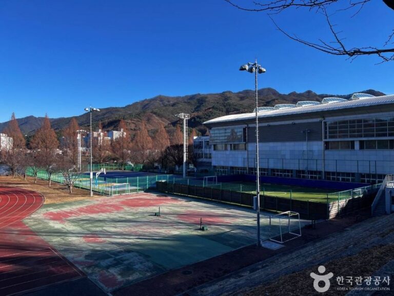 [강원] 연세대 원주캠퍼스길