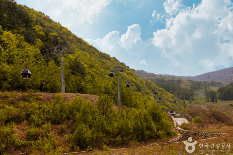 [강원] 가리왕산