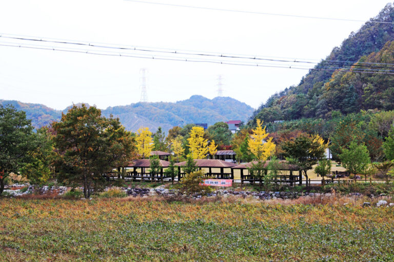 [강원] 신대리마을