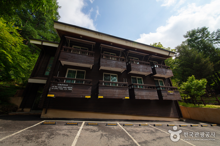 [강원] 강원숲체험장