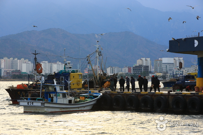 [강원] 동명마을
