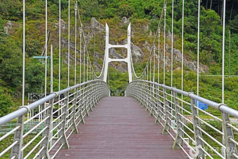 [강원] 강촌 출렁다리공원