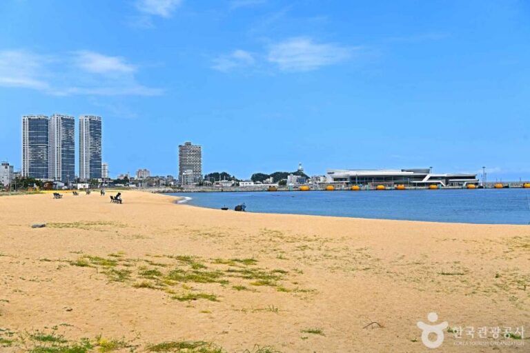 [강원] 청호해변