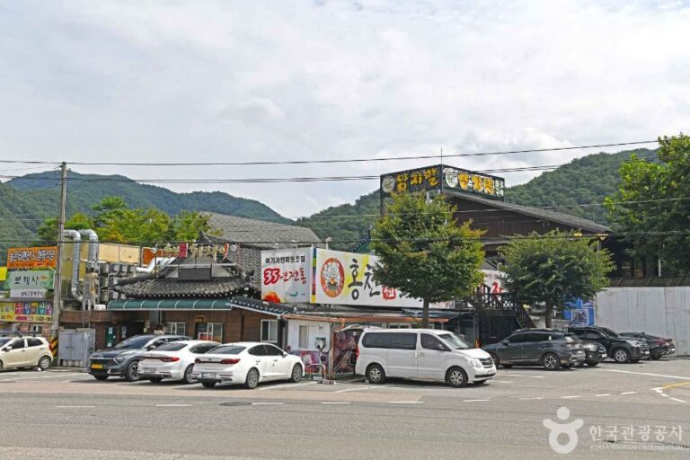 [강원] 화로구이 골목