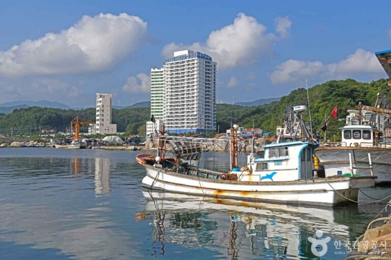 [강원] 동산항
