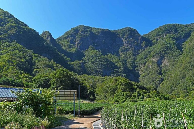 [강원] 기화리 코끼리바위