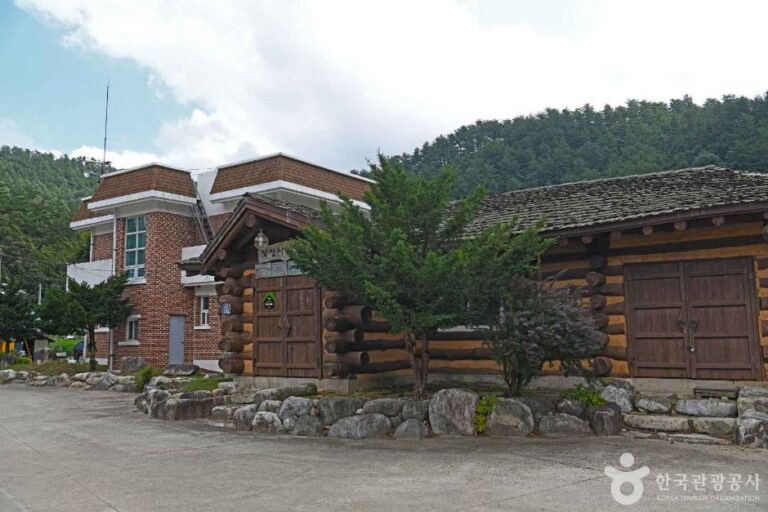 [강원] 탁장사고을