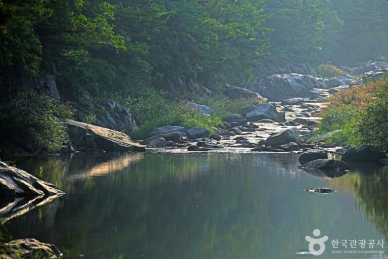 [강원] 연가리계곡