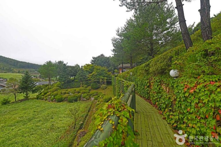 [강원] 봉산서재