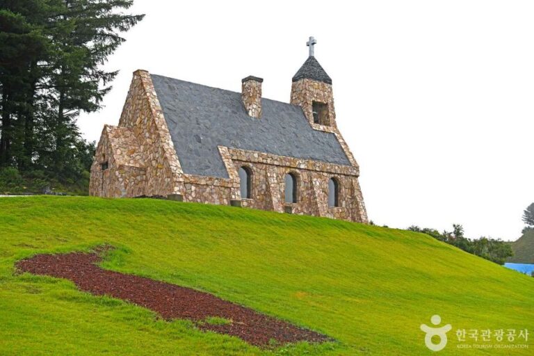 [강원] 실버벨교회