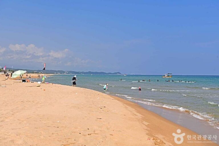 [강원] 중광정해수욕장