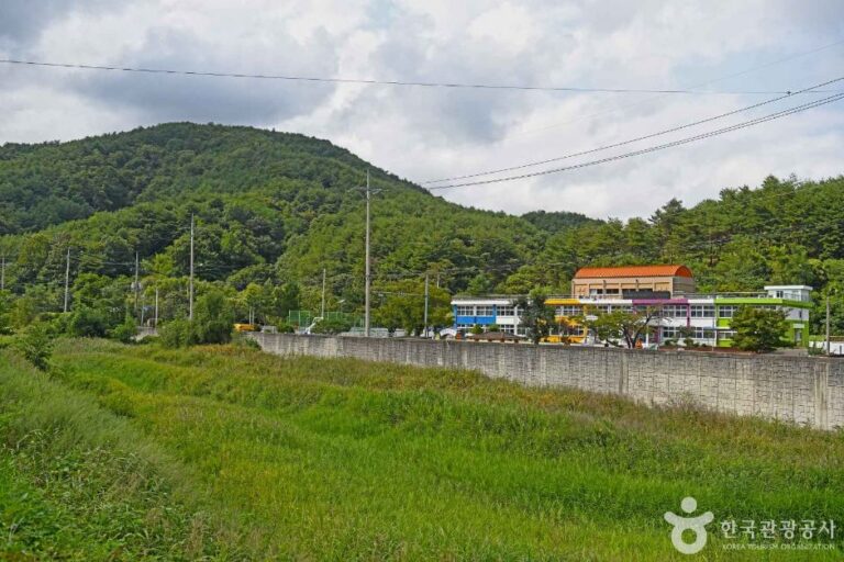 [강원] 샘재골송이마을