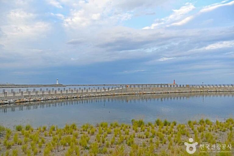 [강원] 월천해수욕장