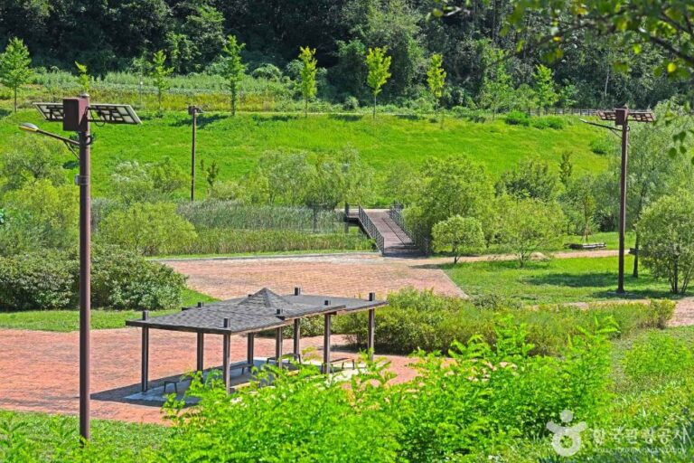 [강원] 강변저류지