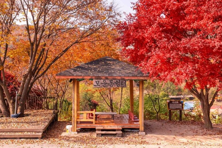 [강원] 운탄고도 1330 1~3길