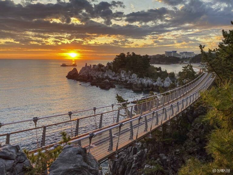 [강원] 추암 출렁다리