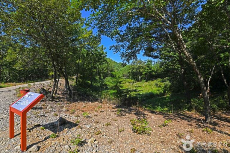 [강원] 고마루 카르스트