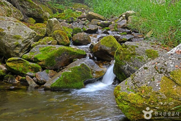 [강원] 원당계곡