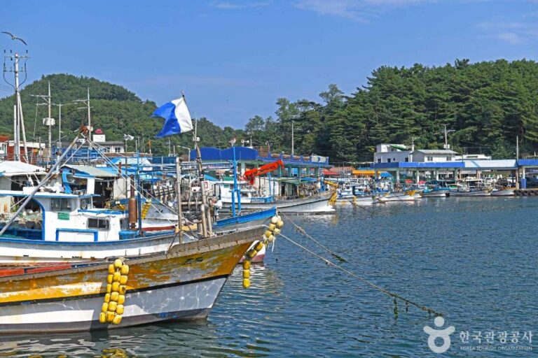 [강원] 기사문항