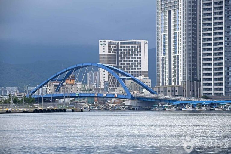 [강원] 속초해안로