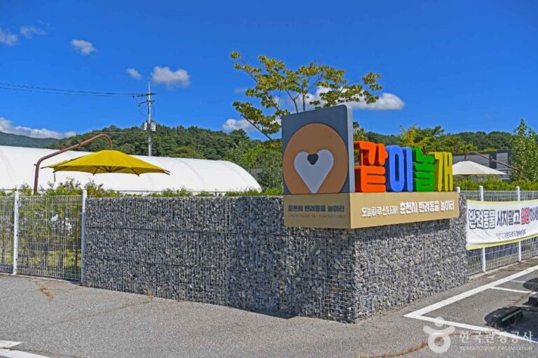 [강원] 춘천시 반려견놀이터 같이놀개
