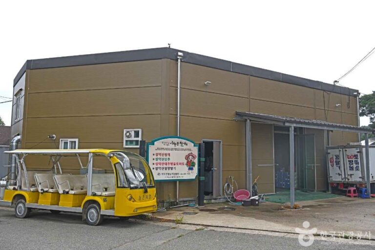 [강원] 속초 하도문쌈채 마을