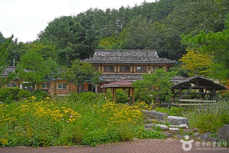 [강원] 삼척 신리너와마을