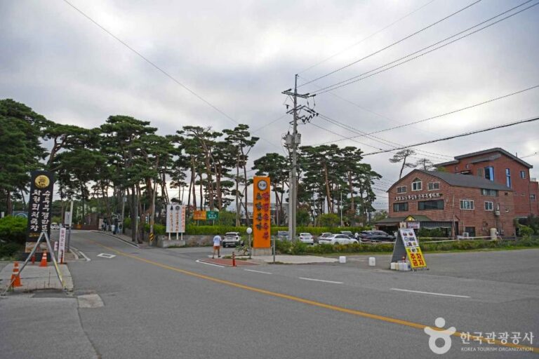 [강원] 초당순두부마을