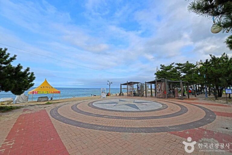 [강원] 강릉 안목해맞이공원