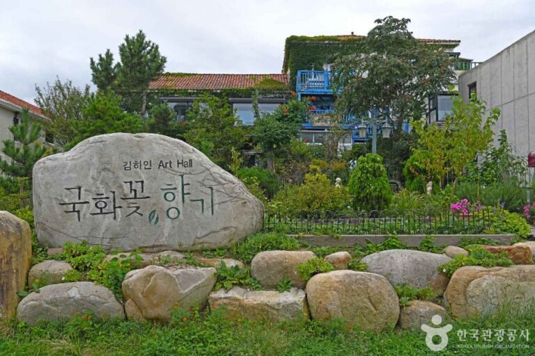 [강원] 김하인 아트홀 국화꽃향기
