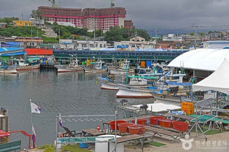 [강원] 아야진항