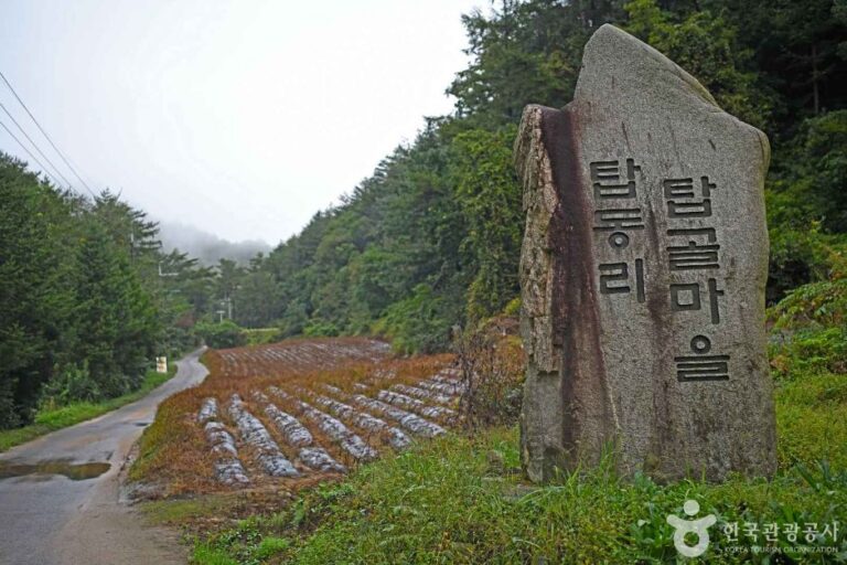 [강원] 탑골마을