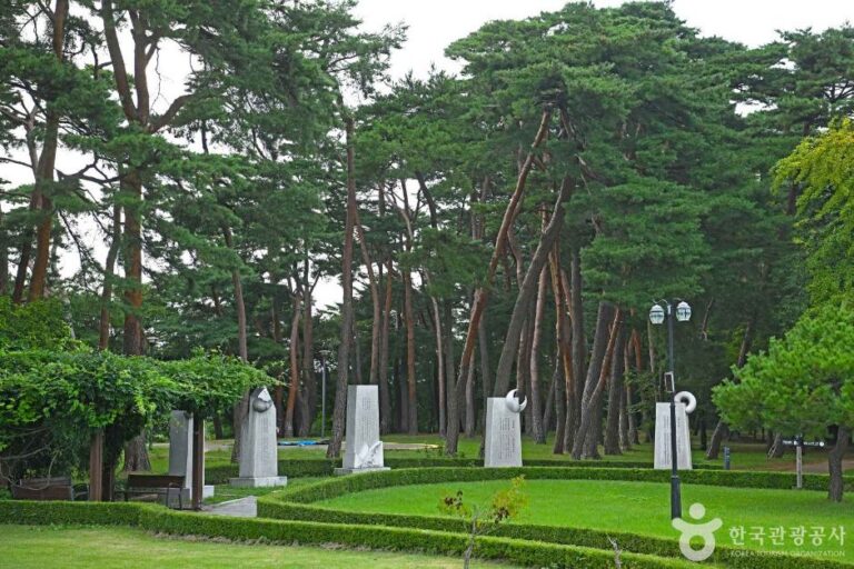 [강원] 허난설헌 솔숲