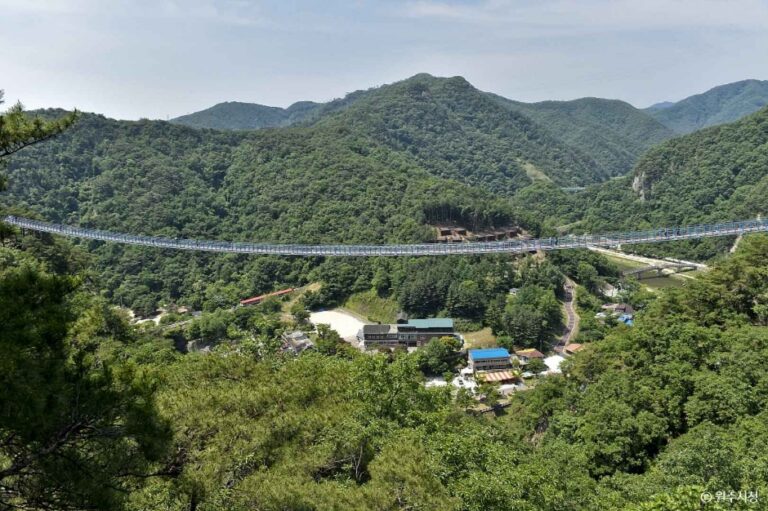 [강원] 소금산 스카이워크 브릿지