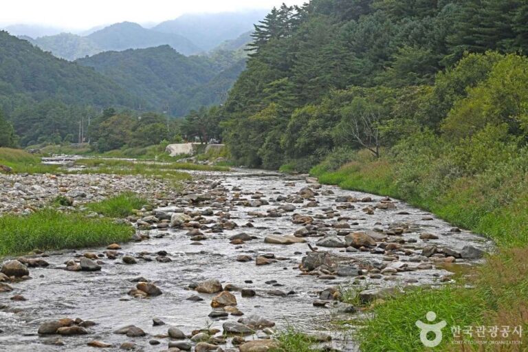 [강원] 법수치계곡