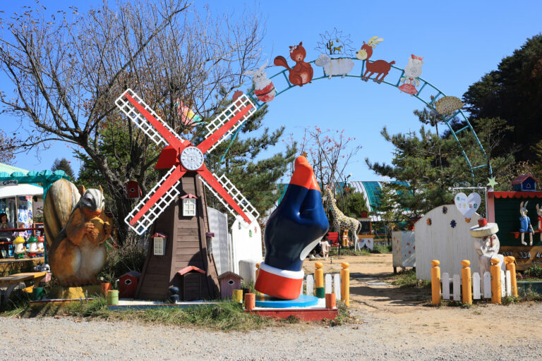 [강원] 숲속에 동물농장