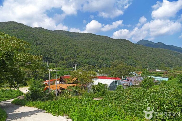 [강원] 진부리 마을관리휴양지