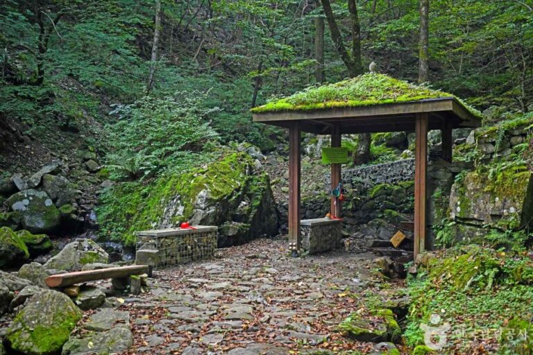 [강원] 갈천약수터